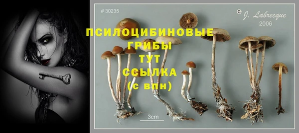 спайс Михайлов