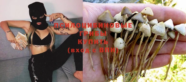 герыч Михайловск