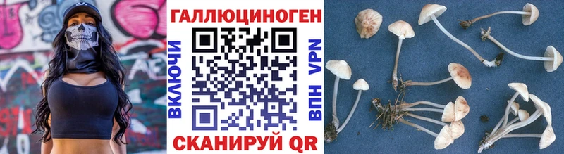 Псилоцибиновые грибы GOLDEN TEACHER Благовещенск