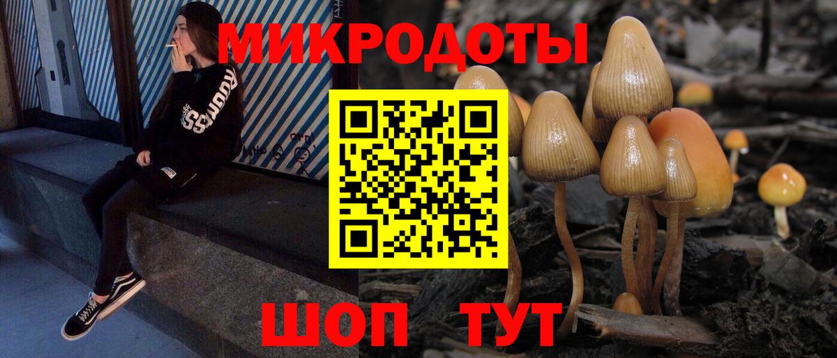 Галлюциногенные грибы Psilocybine cubensis  Галлюциногенные грибы Magic Shrooms  Вход с VPN  Благовещенск 