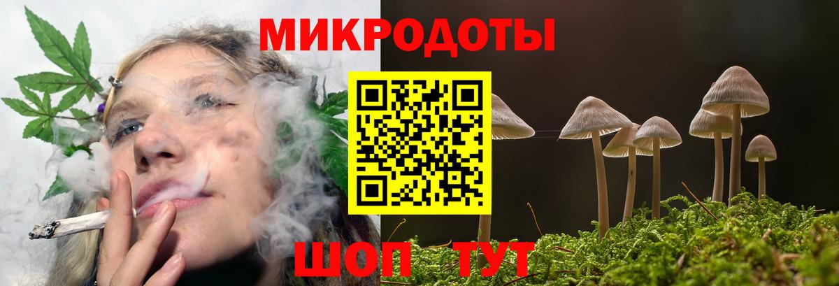 Галлюциногенные грибы Psilocybe Благовещенск